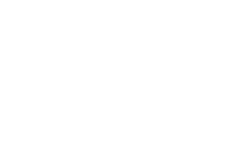 platinium3d